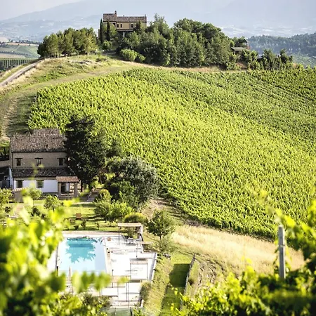 In Marche With Pool And Bbq 公寓 阿斯科利皮切诺