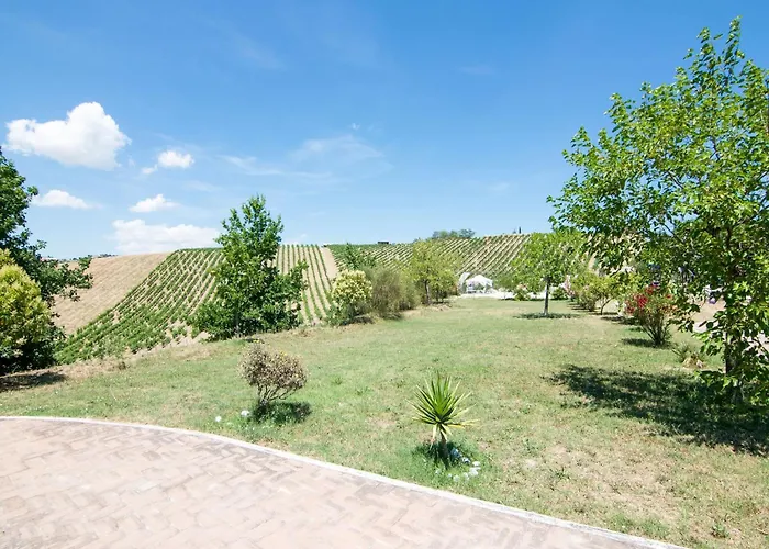 公寓 In Marche With Pool And Bbq *